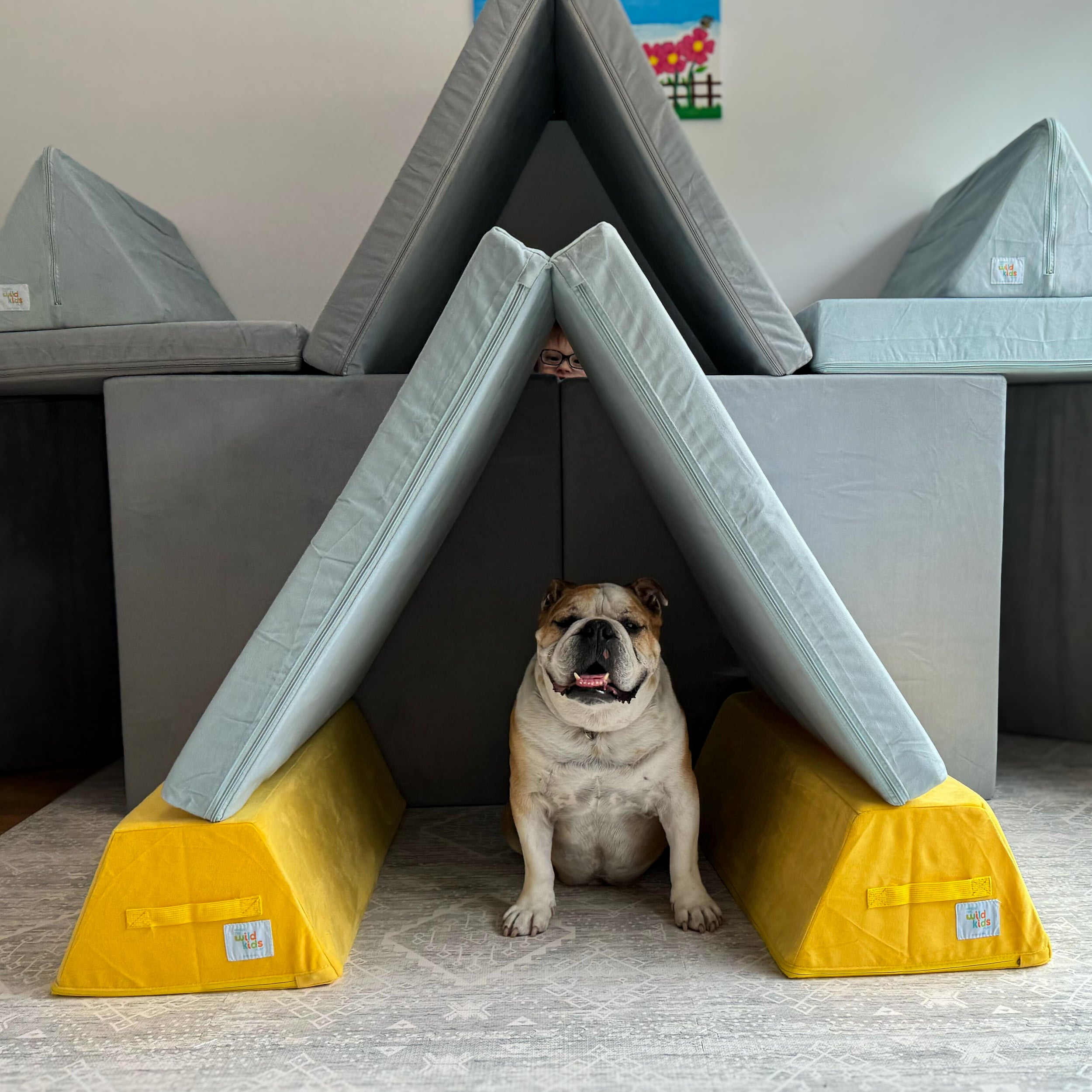 Trapezoid Packs - Firefly